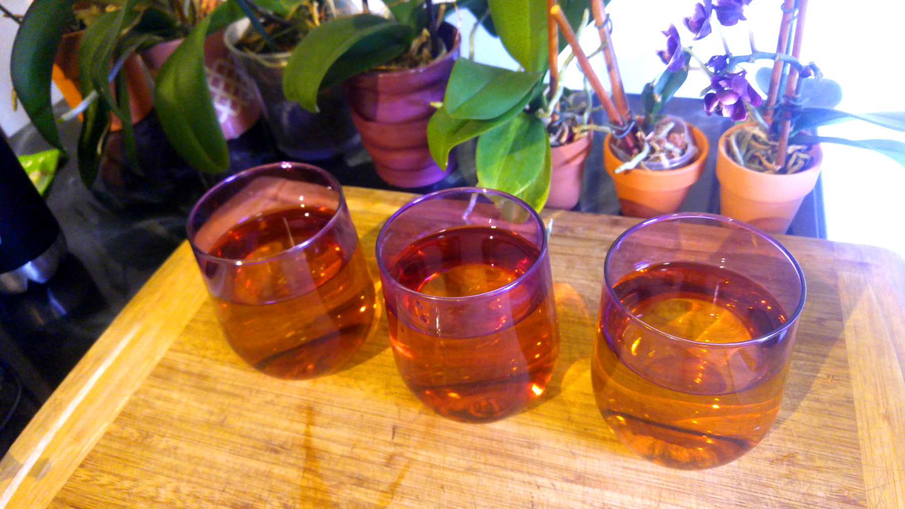 kombucha in purple glasses