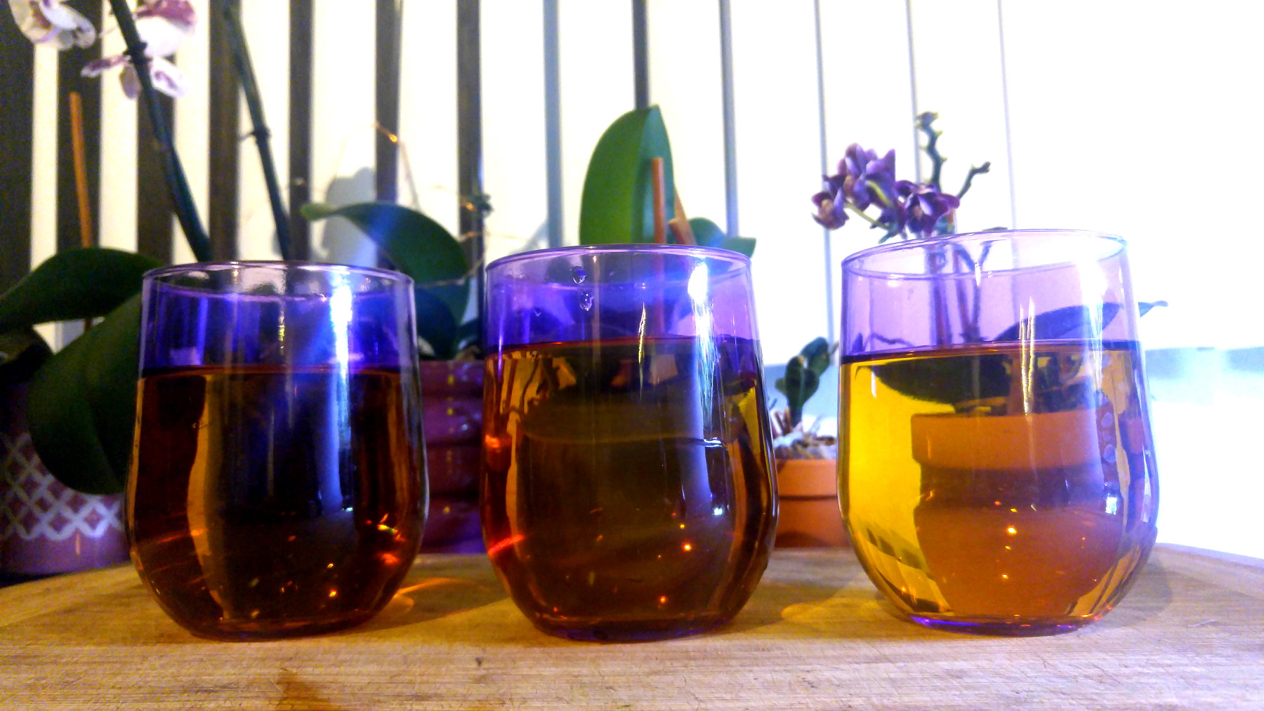 3 glasses of homemade kombucha