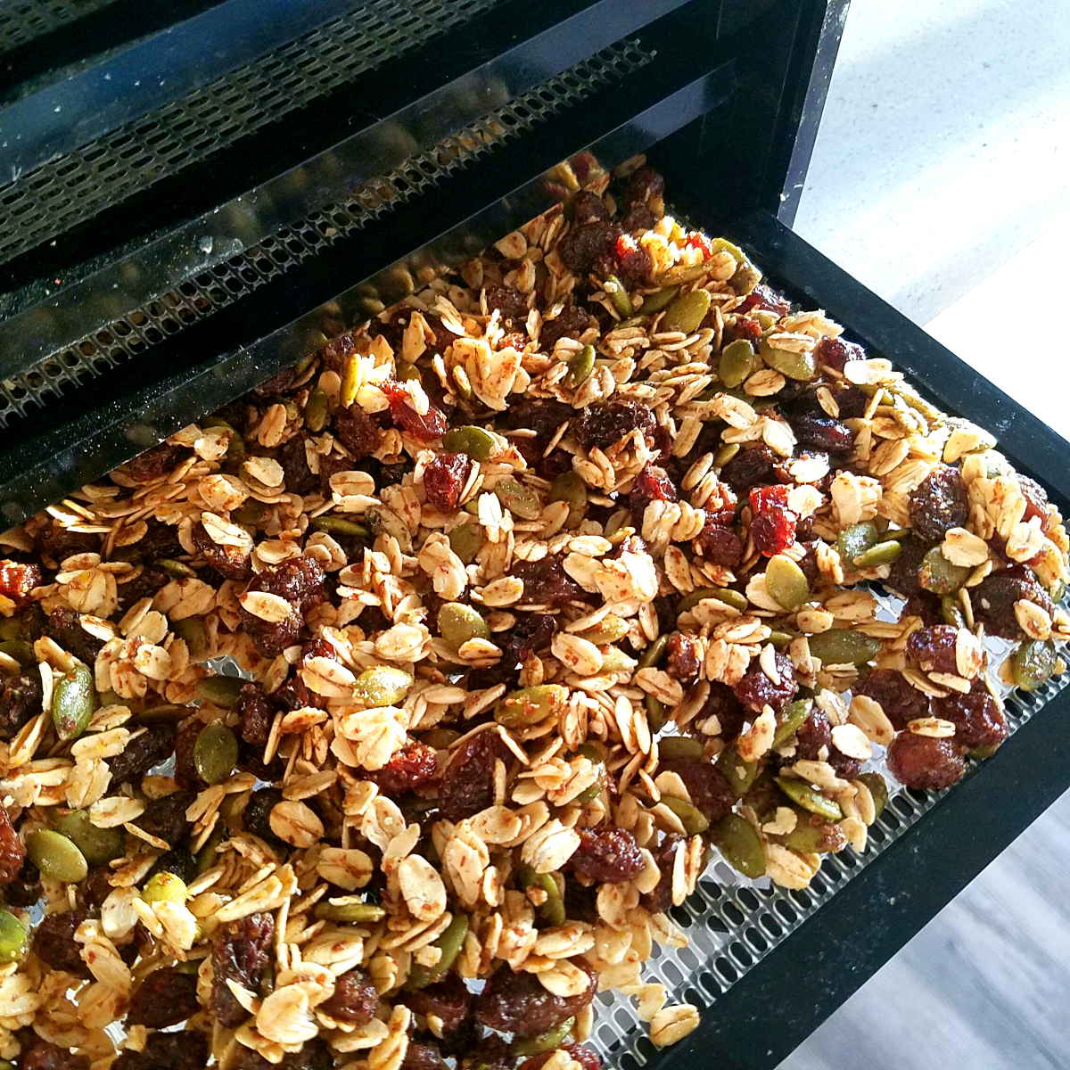 raw vegan dehydrator granola